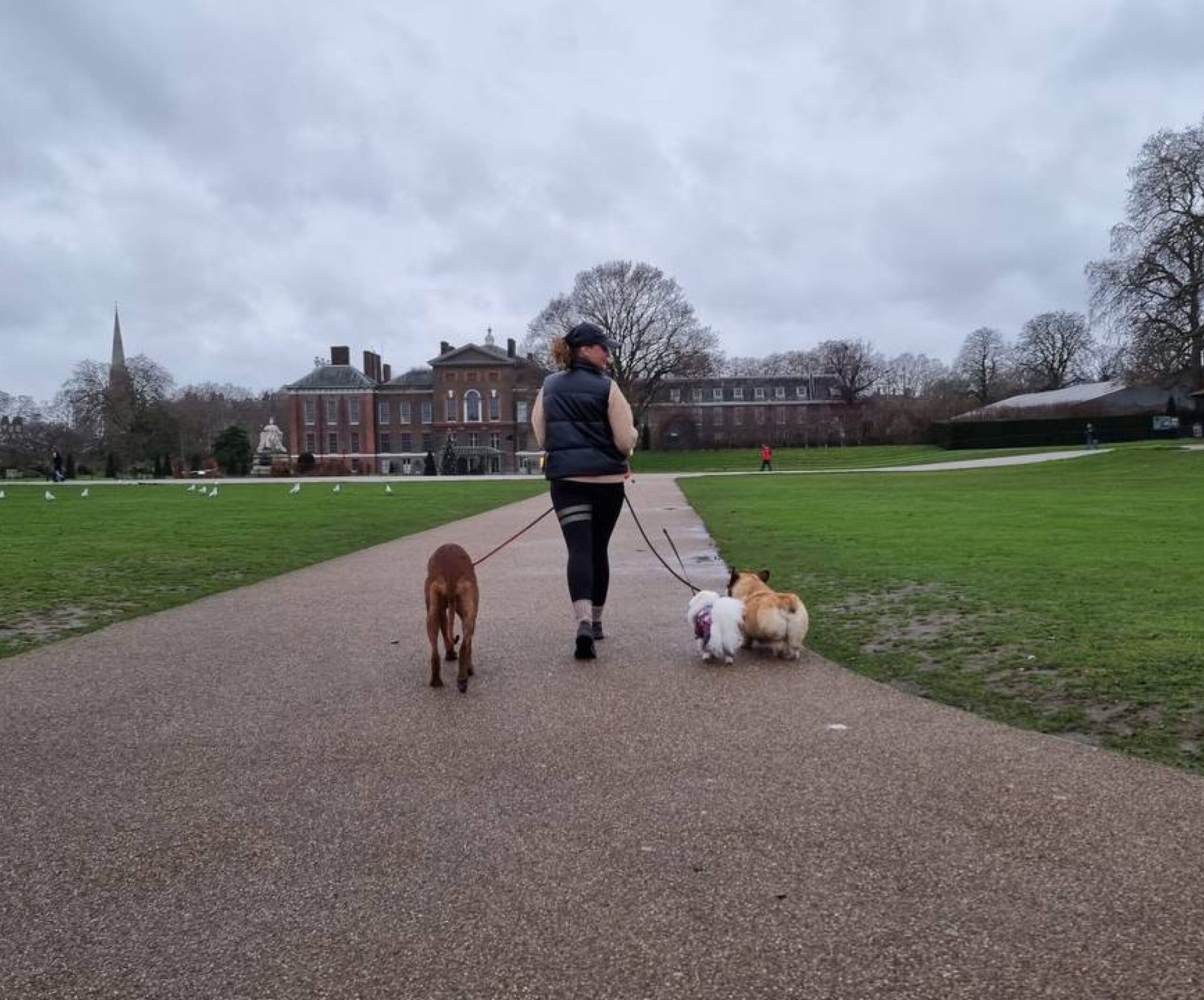 Women with dogs